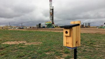 Project Canary case study image
