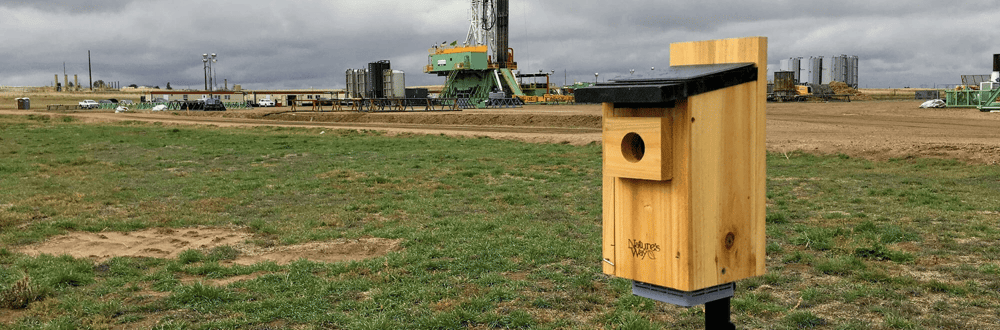 project-canary-onsite-wide