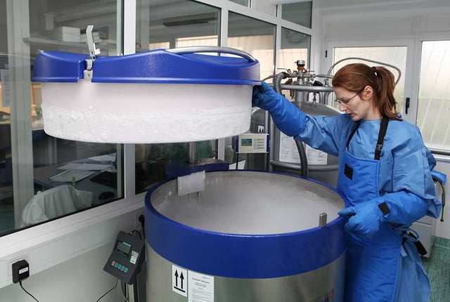 Female scientist monitoring conditions in a liquid nitrogen tank.