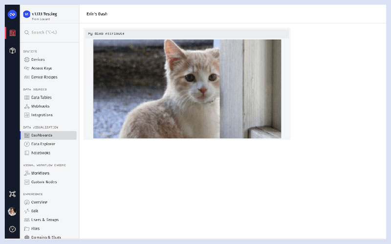 dashboard-image-blob-cat