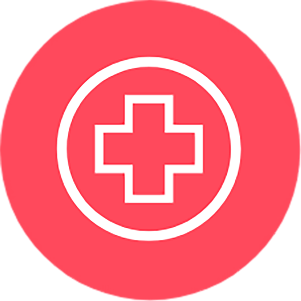 Health red icon