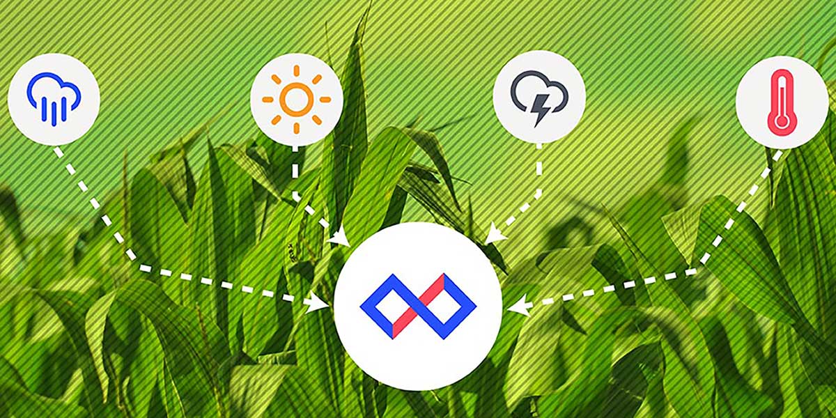 How to Grow Food with the Internet of Things